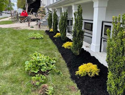 Landscaping Services​ SI